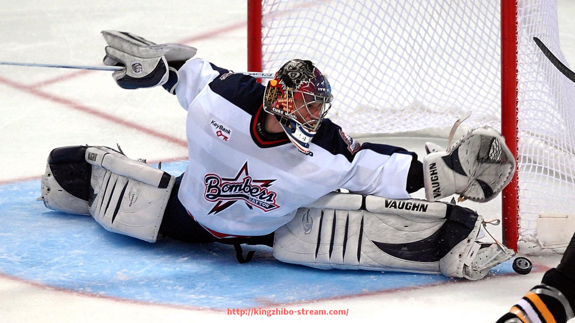 王者体育直播-详解意甲一个球队的发展历程与战绩分析